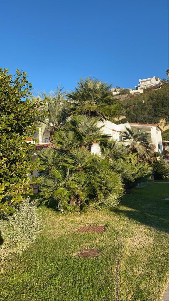 Casa Margherita Ischia Forio di Ischia 外观 照片